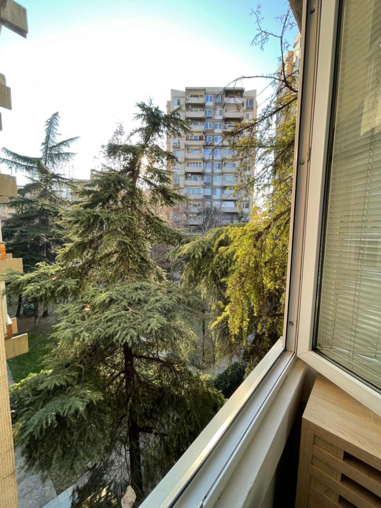 Ruby Luxury Central Apartment Szkopje Kültér fotó